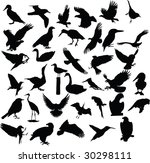 bird  vector  silhouette | Shutterstock .eps vector #30298111