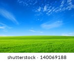 field of green grass with white clouds