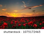 Lest we Forget poppy field with with WW11 planes flying across as the sun goes down.Remembrance Day, Anzac Day tribute to the fallen.