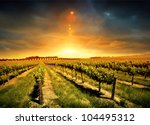 Beautiful Sunset over a Barossa Vineyard