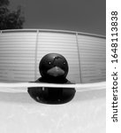 Small photo of Black and white photo of a black rubber duckin the swimming pool