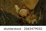 Small photo of Mystical background vintage pagan signet ring with sun