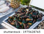The Big Green Mussels Fresh...