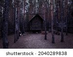 An Old Dilapidated Hut In A...