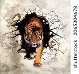3d Picture Tiger Emerges From...