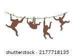 Four Monkeys Orangutan Hanging...