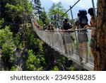 Small photo of Saviese, near Sion, district Martigny, Valais, Wallis, Switzerland, Europe - 07.2010 : Bisse du Torrent Neuf - suspension bridge in Bernese Alps, Rhone Valley