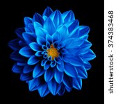 Surreal Dark Chrome Blue Flower ...