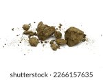 Pile of brown soil isolated on white background. a clod of earth isolated