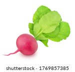 Fresh whole beet with leaves...