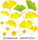 A Set Of Nuts And Ginkgo Leaves ...