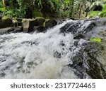 Small photo of Concurrent with clean, fresh water