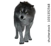 Dire Wolf on White 3d illustration - The Dire Wolf was a prehistoric carnivore that lived in North and South America during the Pleistocene Period.