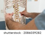 Doctor Man Pointing On Spine Of ...