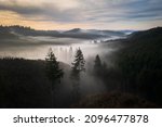 Foggy forest landscape in Oregon at sunrise. 