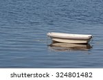 Small photo of A very small dinghy tied off fore and aft floating in protected waters.
