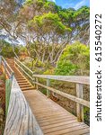 Small photo of Wooden stairs in the tropical forest to Ben Boyds Tower close to Eden in Merimbula Sapphire Coast,NSW Australia. Tower is located at Red Point, on the southern headland of Twofold Bay.
