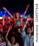 Small photo of Fans cheering at music festival