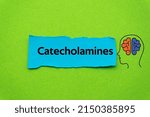 Small photo of Catecholamines.The word is written on a slip of colored paper. Psychological terms, psychologic words, Spiritual terminology. psychiatric research. Mental Health Buzzwords.