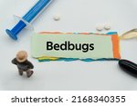 Bedbugs.the word is written on...