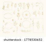 collection of botanical golden... | Shutterstock .eps vector #1778530652