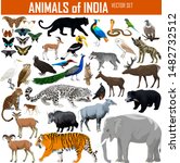 Vector Set Of Animals Of India