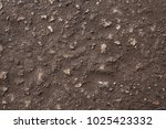 Small photo of Stony road surface texture. Beachy roadway surface. Drive full of stones. Ironbound of forest drive-way. Rocky skin of timber drive. Stony ride idle screen. Background image of tophaceous footpath.