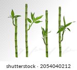 bamboo part isolated on white... | Shutterstock .eps vector #2054040212