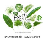 vector tropical exotic leaves ... | Shutterstock .eps vector #632393495
