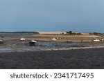 Small photo of the Bay of Arcachon at low tide with a few sailing boats at a standstill and the Dune of Pilat in the background, a few shrubs under a very blue sky