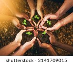 Were all responsible for a better tomorrow. Closeup shot of a group of unrecognizable people holding plants growing out of soil.