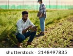 Small photo of Theyve both got a job to do. Full length shot of a handsome young male farmer using a tablet while working on his farm with a female colleague in the background.