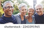Small photo of Nature, selfie and senior friends on a hike for wellness, exercise and health in the woods. Happy, smile and portrait of a group of elderly people in retirement in forest trekking together in summer.