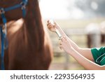 Small photo of Just your regular shots. Cropped shot of an unrecognisable veterinarian standing alone and preparing to give a horse an injection on a farm.