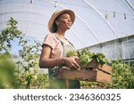 Smile, greenhouse and black woman on farm with vegetables in sustainable business, nature and sunshine. Agriculture, garden and happy female farmer in Africa, green plants and agro farming in field.