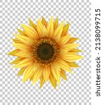 bright realistic sunflower with ... | Shutterstock .eps vector #2138099715