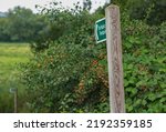 Public footpath sign on an English country walk. A wooden post supports a green and white sign stating To Public Footpath. Selective focus on the sign and rich colors give a very rural feel. 