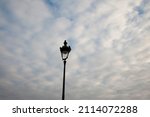 Some Pigeons Rest On A Lamppost