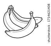 Linear Drawing Banana Isolated...