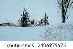 Small photo of Two deers prancing up a hill in the bleak, freezing cold, and cloudy midwinter