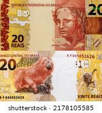 Small photo of aureate effigy of the symbolic sculpture of the Brazilian Republic, Portrait from Brazil 20 Reais 2010 Banknotes.