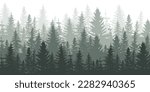 forest panorama view. pine tree ...