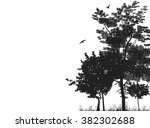 Silhouettes Of Trees In A...