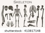 Human bones skeleton silhouette collection set. High detailed Vector illustration.