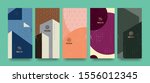 vector set packaging templates... | Shutterstock .eps vector #1556012345