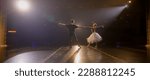 Small photo of Static full shot of ballet dancers practicing graceful ballet movements and rehearse choreography on classic theater stage illuminated by spotlights. Dance partners prepare theatrical performance.