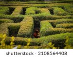 Redhead girl lost in a garden maze