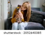 Pet parent woman holding little bald gray sphynx cat. Caregiving pet owner. Kitty sitting on lap. Home interior. Natural light. Horizontal, coppy space. Enjoying time with purebred animal