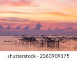 Small photo of Amazing colorful sky at twilight above fishing trap at Pakpra. fisherman catching fish by square dip net at Pak Pra canal in Talay Noi Phatthalung. fishing trap in beautiful sky background.