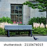 Peaceful scene on McGill University campus, featuring empty park bench and pigeon, against backdrop of stately grey stone building with large double-hung window and garden